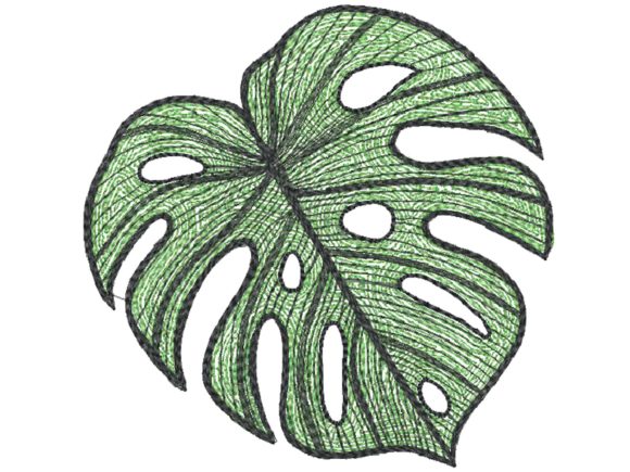 Elephant Ear Leaf Embroidery: A Seller’s Review