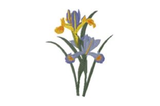 Iris Beauty: A Seasonal Embroidery Design Review