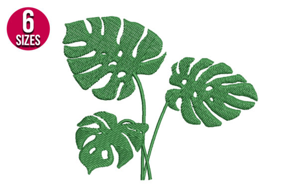 Monstera Plant Embroidery Design Review