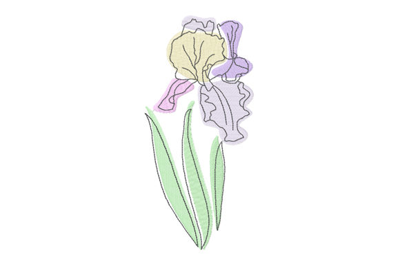 Pastel and Line Art Iris Flower – A Designer’s Craft Fair Review