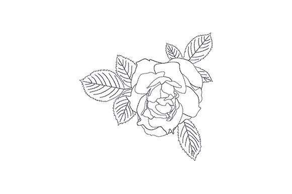 Rose Bud with Three Leaves: A Seller's Review