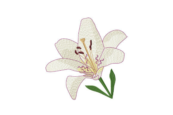 White Tiger Lily Embroidery Review